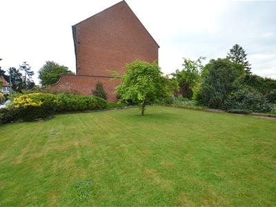 Picture 23